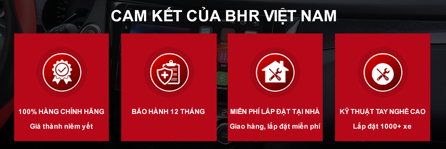 BHR Việt Nam - Địa chỉ lắp màn hình DVD OLED chính hãng tại Hà Nội